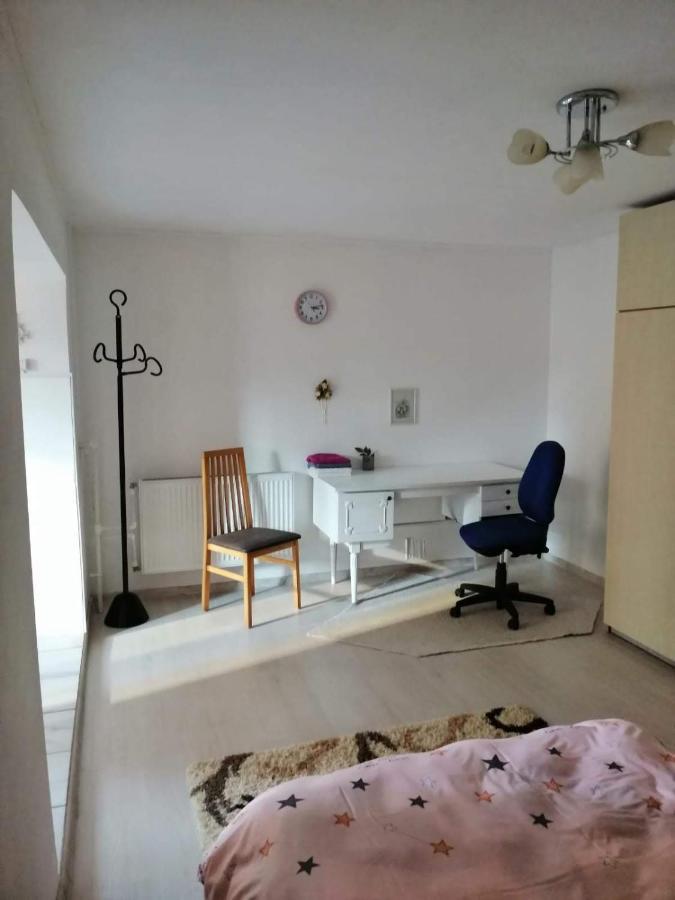 Moss'S Economy Apartment Тимишоара Екстериор снимка
